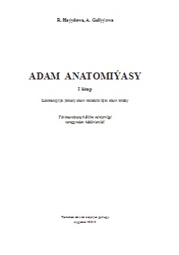 Adam anatomiýasy I